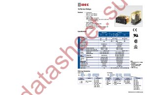 RJ1V-A-D12 datasheet  